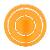 FRISBY PROFESIONAL 2 Naranja